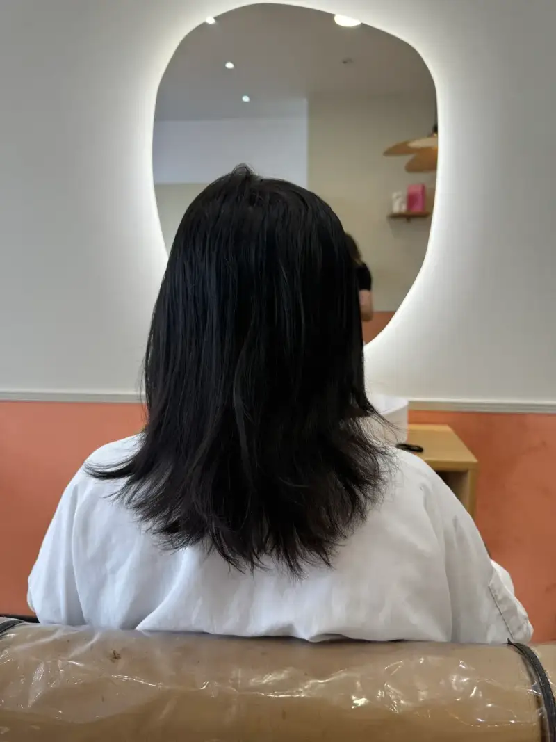 Avant Extension
